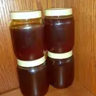 عسل سدر جبلي من اليمن