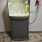 سمك وحوض اسماك زينة منوع مع ادوات الحوض