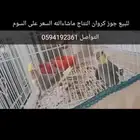 للبيع جوز كروان النتاج ماشاءالله السعر على السوم