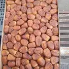 أفخر أنواع تمور القصيم وحائل للبيع جملة وقطاعى الكرتون 3 كيل