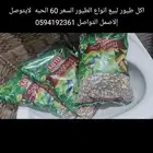 أكل طيور