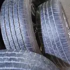 جنوط فكسار وكاله