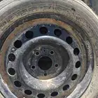 البيع جنوط 15