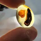 عقيق يمني مصور