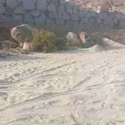 بنين حجر