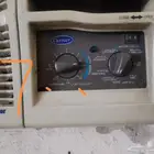 أم الحمام
