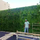 عشب صناعي جداري وأرضي. توريد وتركيب وخامات عاليه الجوده