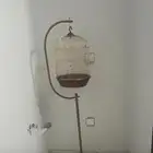 الطائف