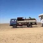 وايت كزبرا للبيع