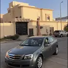 للبيع كابرس اللون اخضر فاتح (زعتري)