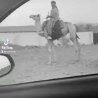 الطايف