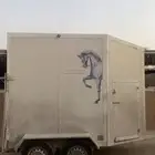 نقل خيل الخرج