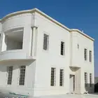 ابوقناص المقالات الديكورات ليسه ملونه بديل الحجر الطبيعي