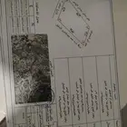 ارض العارضة النخيل