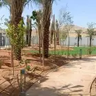 زراعه وتنسيق