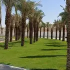 المهندس للمستقبل الأخضر