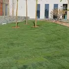 المهندس أبو سجي لجميع أعمال الزراعة والتنسيق والديكور