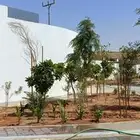 تحت رعايه المهندس