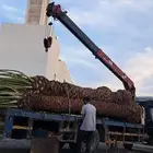 سطحه بوم ترك للإيجار الحمدانية