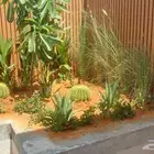 تنسيق حدائق