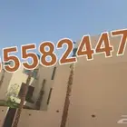 نخل واشنطونيا ملكي
