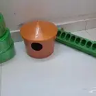 متوفر مستلزمات الطيور