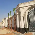 نخل واشنطوني