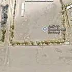 مزرعه بسكن وشيب على الدايري البدع