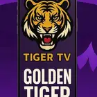 اشتراك. تايقر. iptv ثمانيه بدون تقطيع
