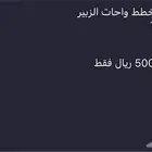 واحات الزبير الخليل   الغابة