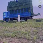 علف من الوادي برسيم رودس عجور زريعا تبن مخلوط