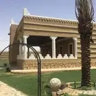 تراث طين الطبيعي القديم