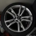 جنوط جينيسيس