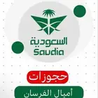 حجر رحله عبر الاميال الخطوط السعوديه