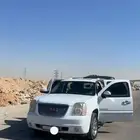 جمس دينالي 2008