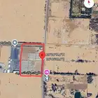 مزمرعه للبيع طريق المدينه 50 دنم