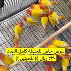 تم البيع