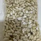 بذر عصفر بلدي