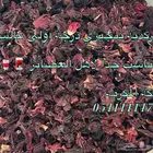 كركدية دفعة جديدة مع ضمان ذهبي