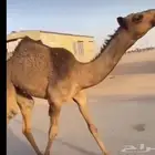 مفروده