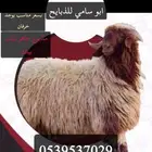 ذبايح حري ونعيمي وانواع الذبايح ويوجد توصيل غنم بر نظيفه
