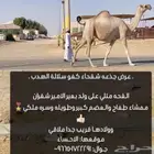 القحه مقارب متلي