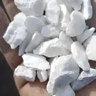 حجر زينة الحدائق والممرات والاسطح