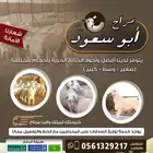 ذبيحتك لبيتك حري - سواكني