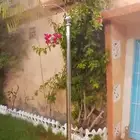 تركيب وصيانة الضباب