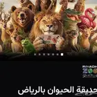 تذاكر حديقة الحيوان
