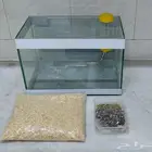 قفص زجاجي شفاف للهامستر. همستر.