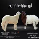 لدينا ذبايح بريه حري ونعيمي وذبح وتوصيل