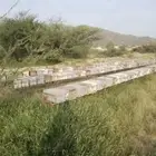 نحل 100 خليه لاصحاب الدعم الريفي دعم العسل