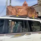 سله جيب لاندكروزر يركب من 2008 وطالع الي راكب موديل 2014